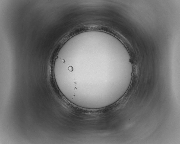 X0000111530733200907141256