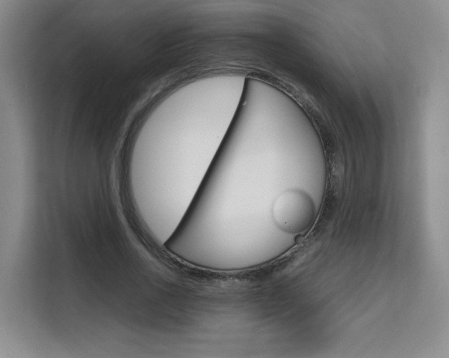 X0000111530734200907141256