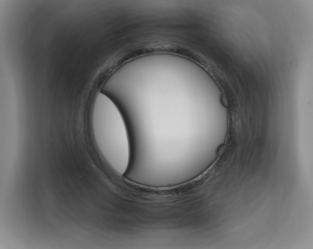 X0000111530735200907141256