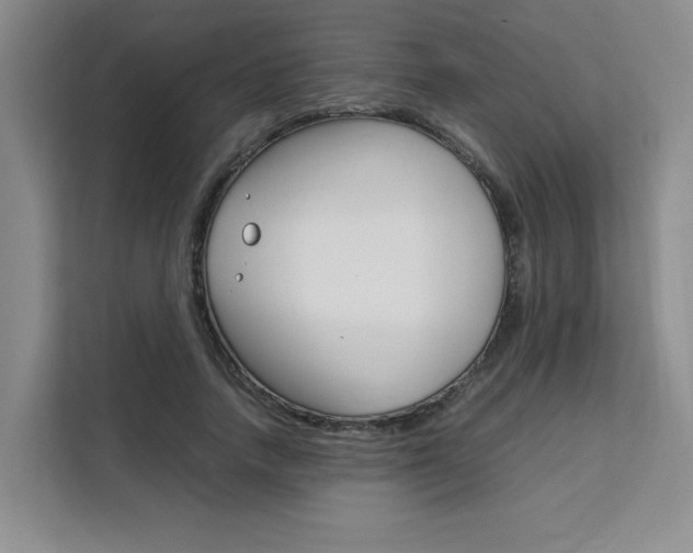 X0000111530738200907141256