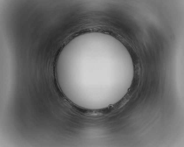X0000111530754200907141256