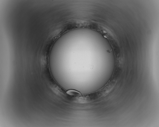 X0000111530756200907141256