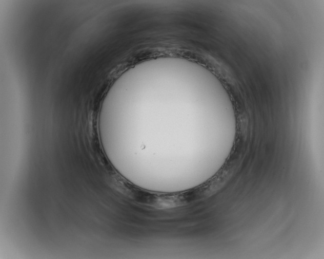 X0000111530757200907141256