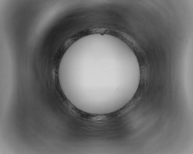 X0000111530761200907141256