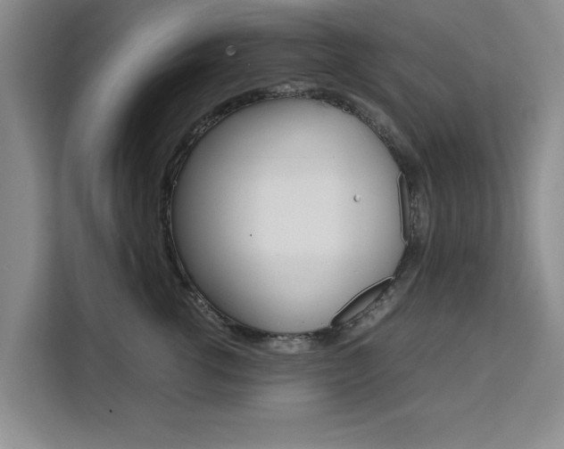 X0000111530762200907141256