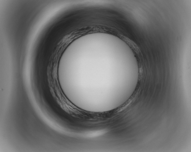 X0000111530765200907141256