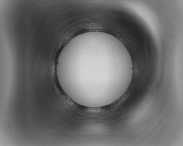 X0000111530767200907141256