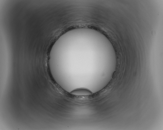 X0000111530768200907141256