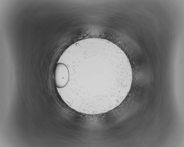 X0000111530769200907141256