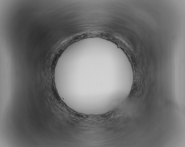 X0000111530773200907141256