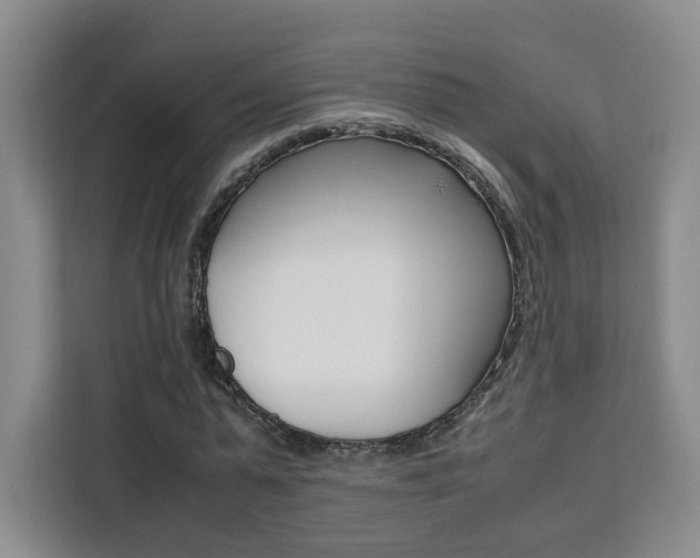 X0000111530775200907141256