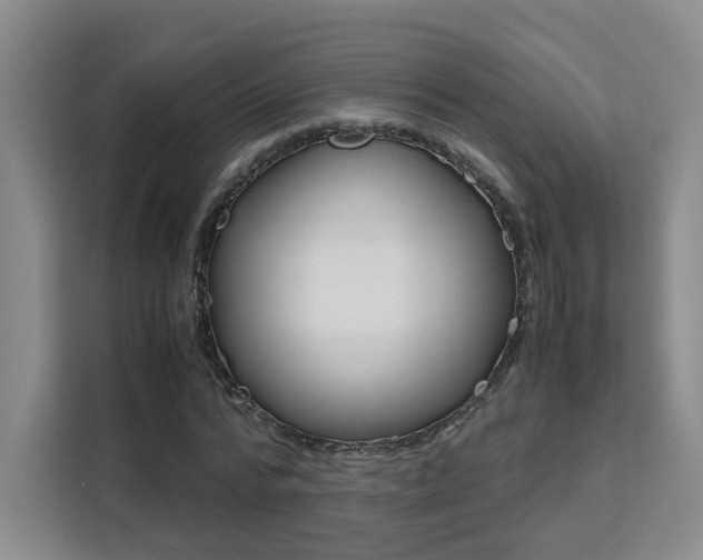 X0000111530776200907141256