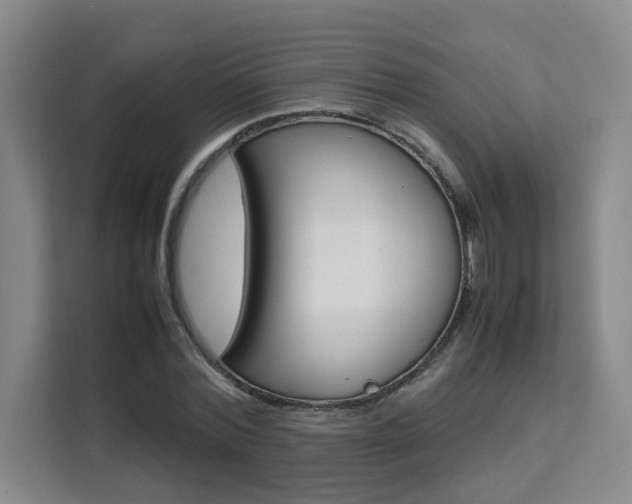 X0000111530780200907141256