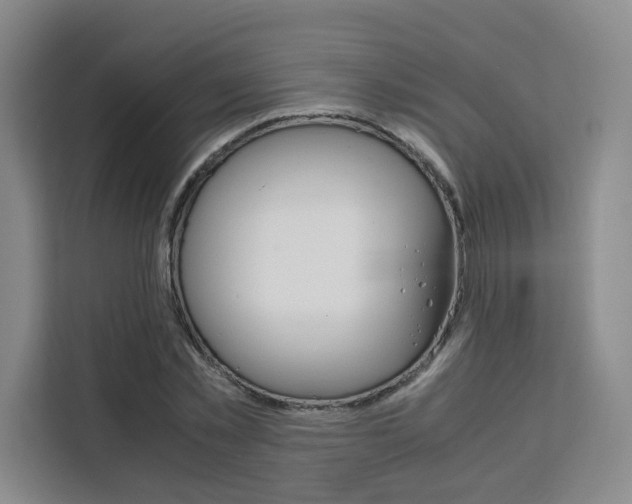 X0000111530781200907141256