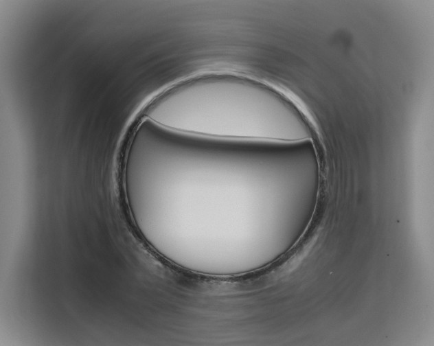 X0000111530783200907141256