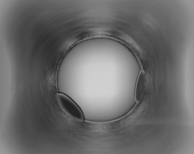 X0000111530785200907141256