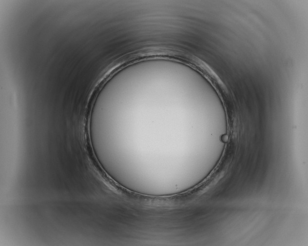 X0000111530786200907141256