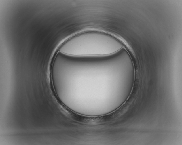 X0000111530791200907141256