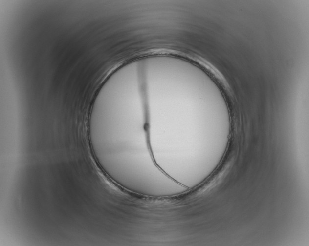 X0000111530801200907141255