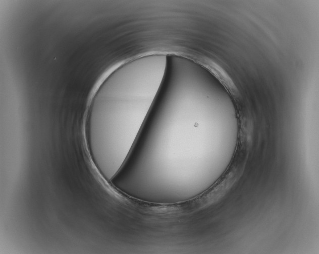 X0000111530804200907141255