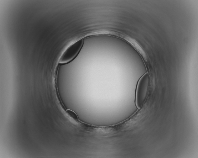 X0000111530805200907141255
