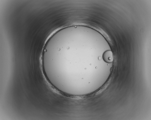 X0000111530814200907141255