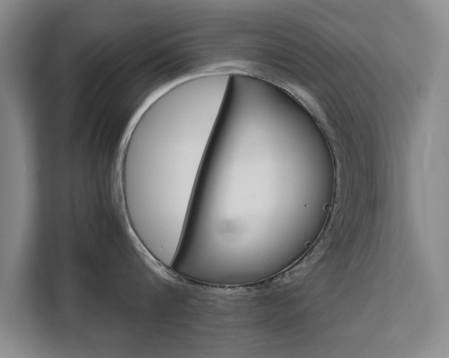 X0000111530816200907141255