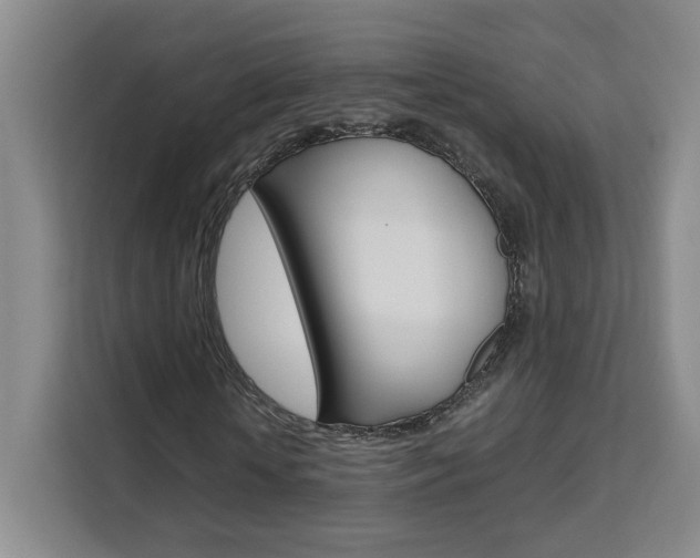 X0000111530818200907141255