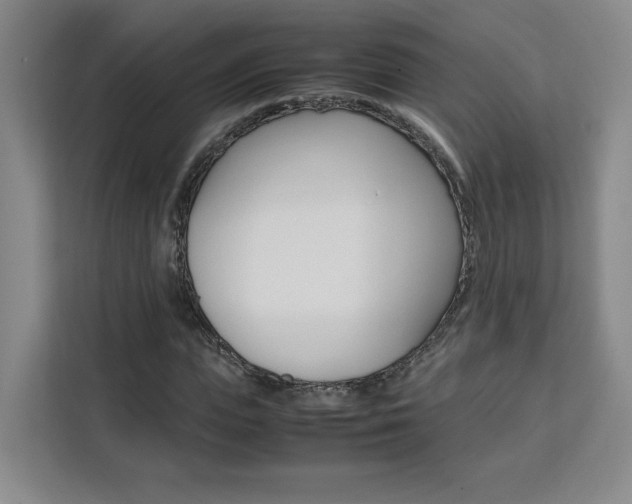 X0000111530823200907141255