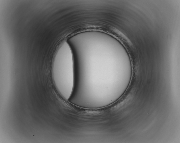 X0000111530825200907141255