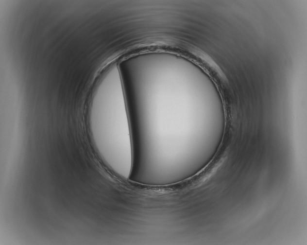 X0000111530826200907141255