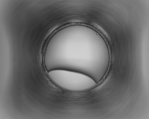 X0000111530829200907141255