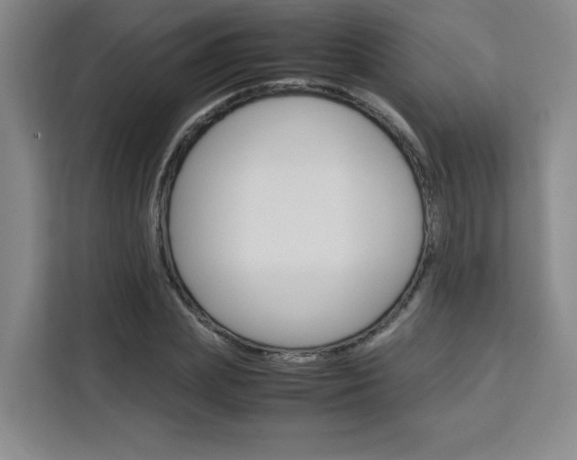 X0000111530831200907141255