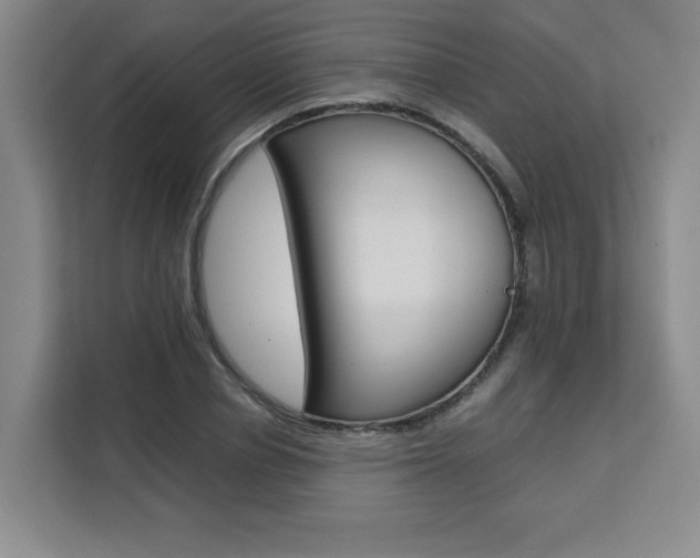 X0000111530834200907141255