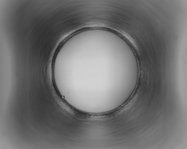 X0000111530840200907141255