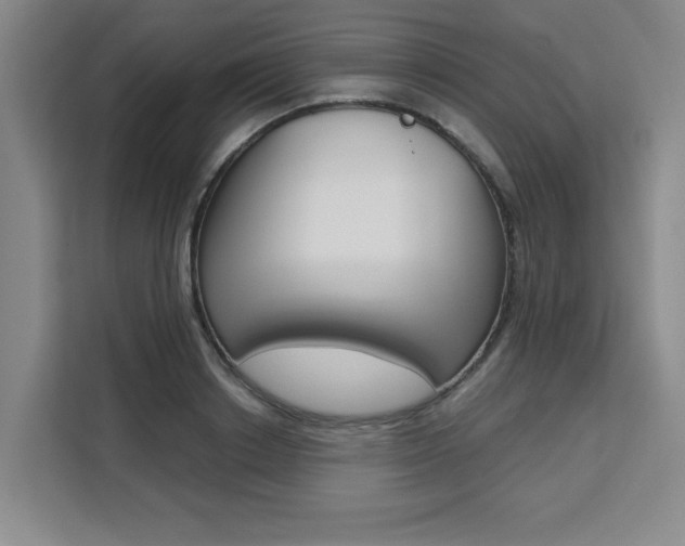 X0000111530842200907141255