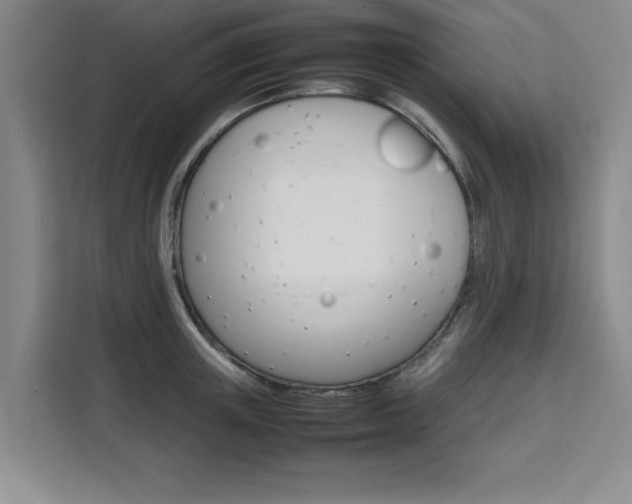 X0000111530851200907141255