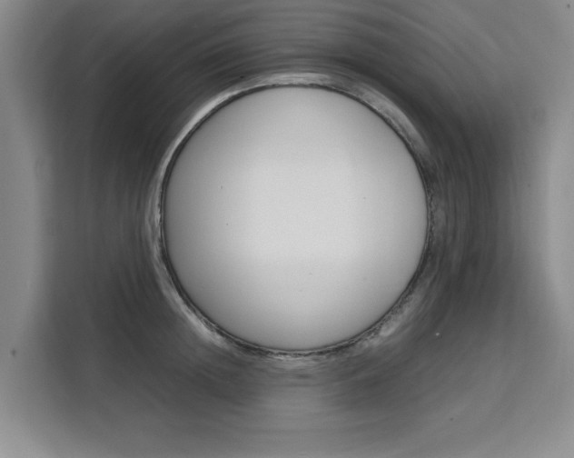 X0000111530852200907141255