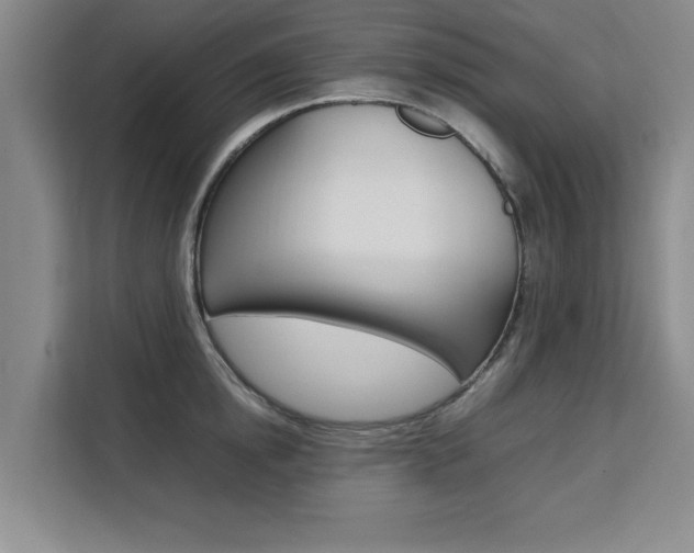 X0000111530854200907141255