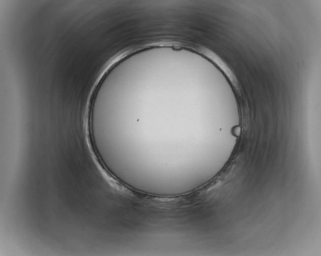 X0000111530861200907141255