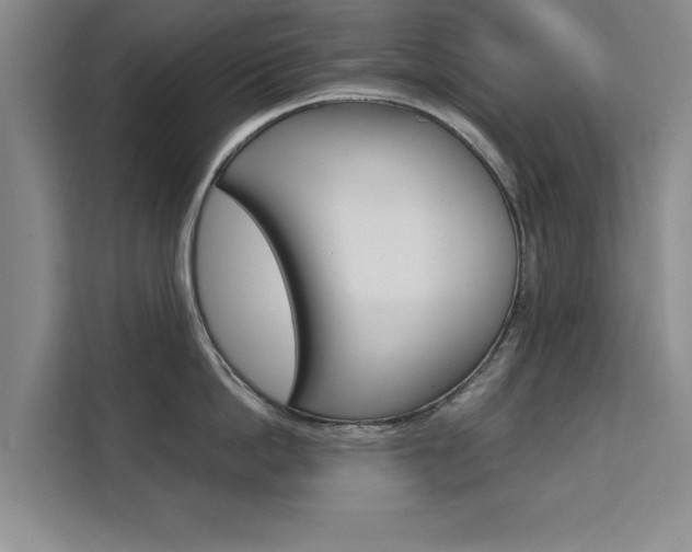 X0000111530862200907141255