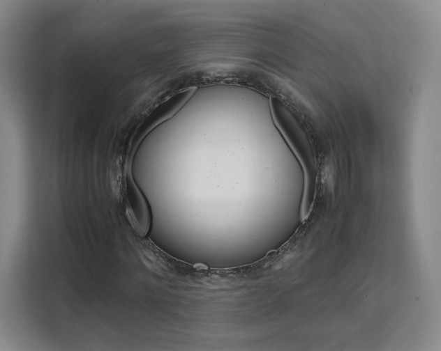 X0000111530868200907141255