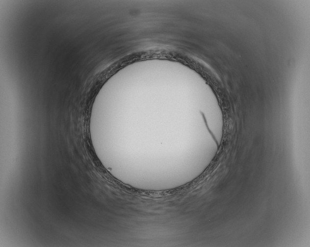 X0000111530869200907141255