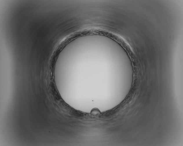 X0000111530871200907141255