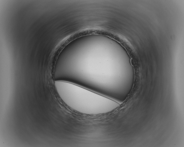 X0000111530872200907141255