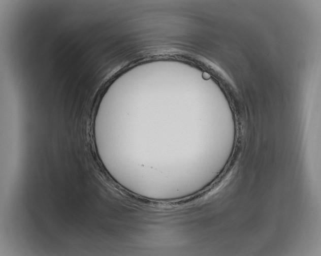 X0000111530873200907141255
