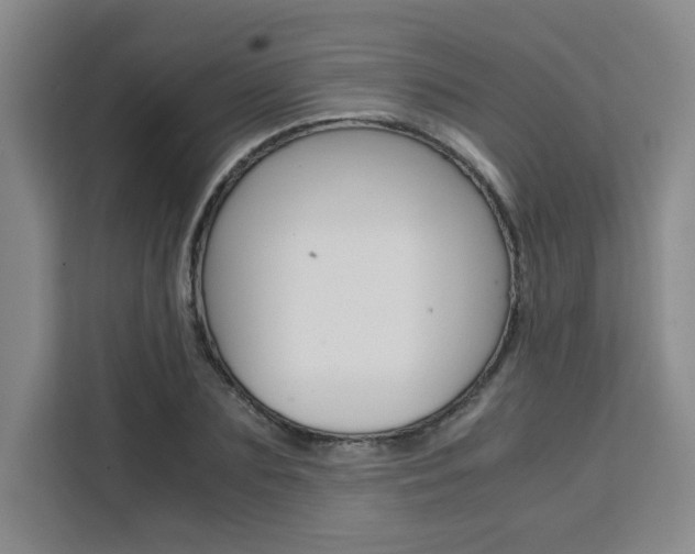 X0000111530883200907141254
