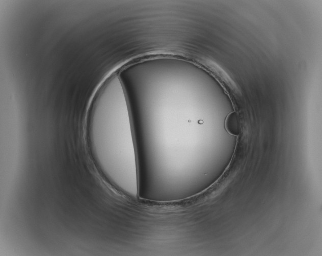 X0000111530884200907141254