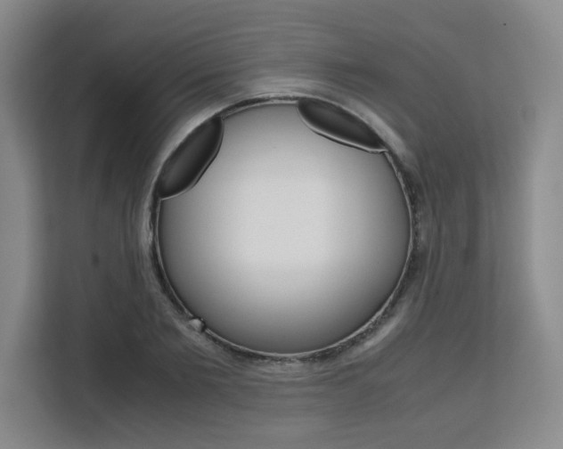 X0000111530885200907141254