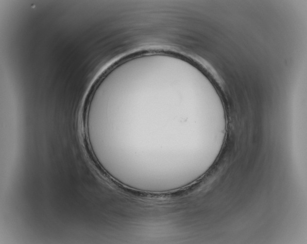 X0000111530887200907141254